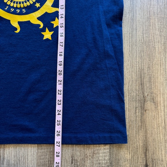 Vintage 1995 Chapin Benefit T-Shirt Harry Chapin Why Hunger - Picture 5 of 7